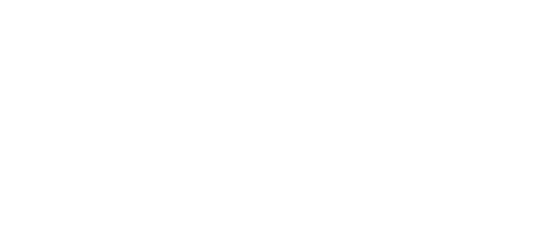 Logo Baianão