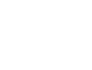 Logo Libertadores